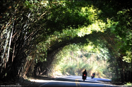 aguasdelindoia2011004