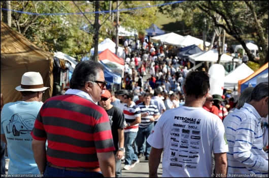 aguasdelindoia2011037