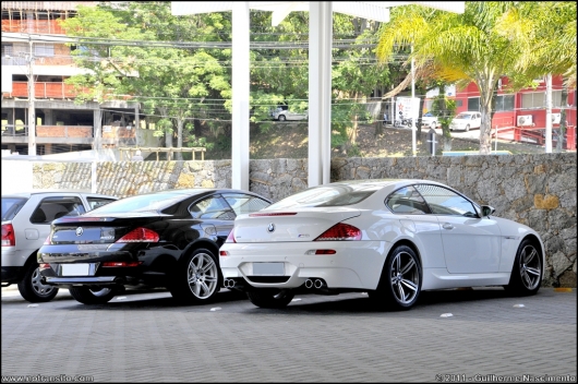 bmwm6019