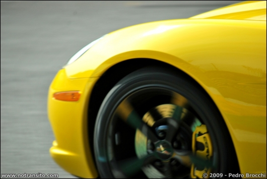 driverbrocchi014.jpg