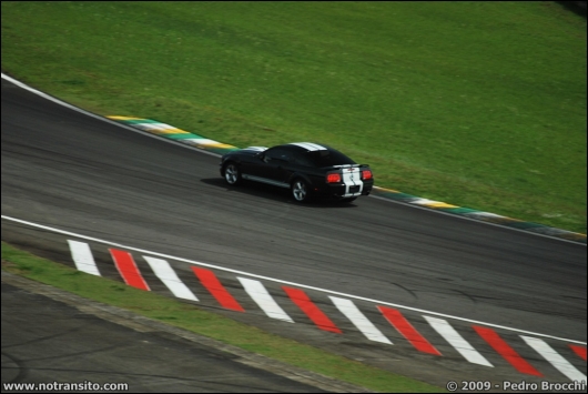 driverbrocchi030.jpg