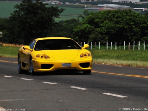 DSC_0036m.jpg