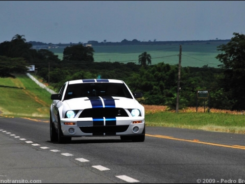 DSC_0072m.jpg