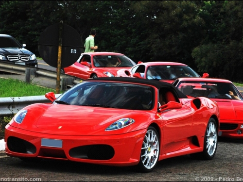 DSC_0182m.jpg