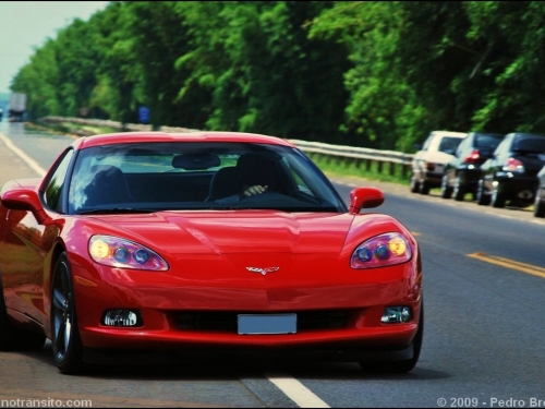 DSC_0261m.jpg
