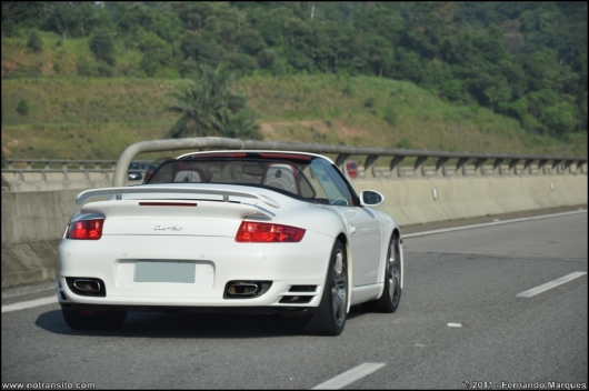 exoticosnaestrada001.jpg