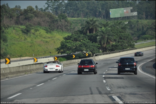 exoticosnaestrada002.jpg