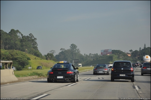 exoticosnaestrada003.jpg