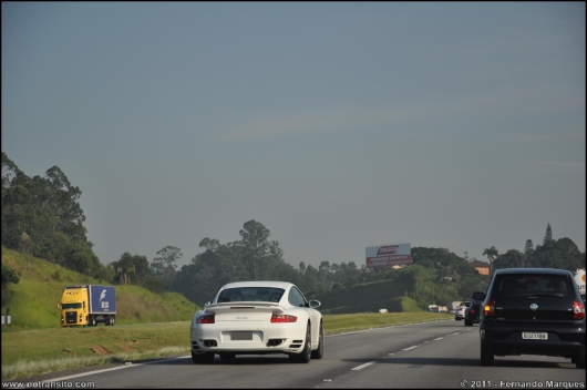 exoticosnaestrada004.jpg