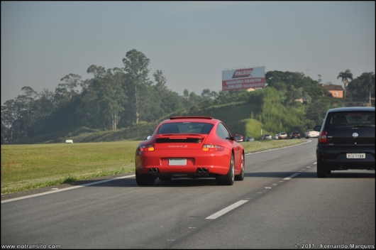exoticosnaestrada005.jpg