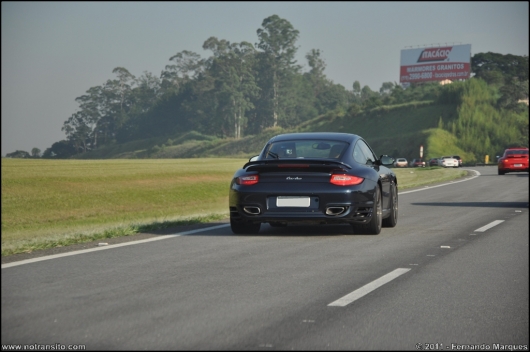 exoticosnaestrada006.jpg