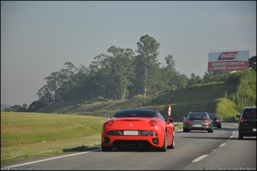 exoticosnaestrada008.jpg