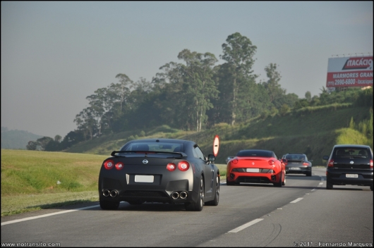 exoticosnaestrada009.jpg