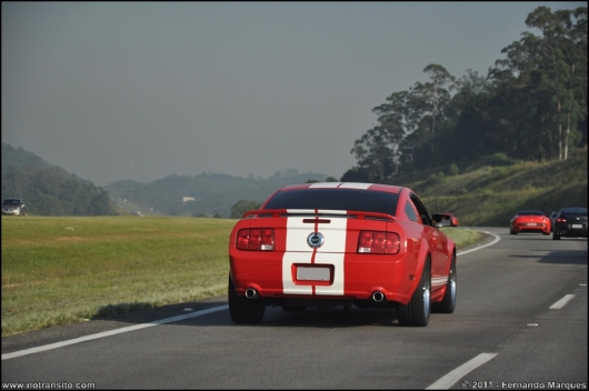exoticosnaestrada010.jpg