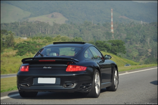 exoticosnaestrada011.jpg