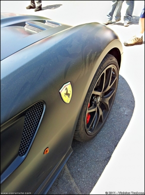 ferrari599gtointerlagos020
