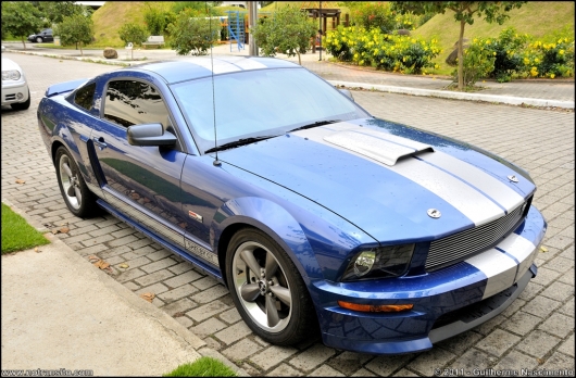 fordmustanggtshelbybodykit012
