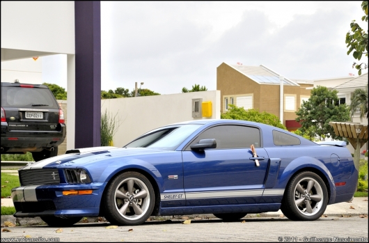 fordmustanggtshelbybodykit015