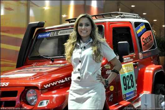 gatasdosalaodoautomovel2010003.jpg