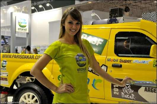 gatasdosalaodoautomovel2010017.jpg