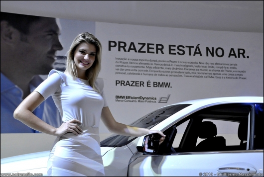 gatasdosalaodoautomovel2010024.jpg