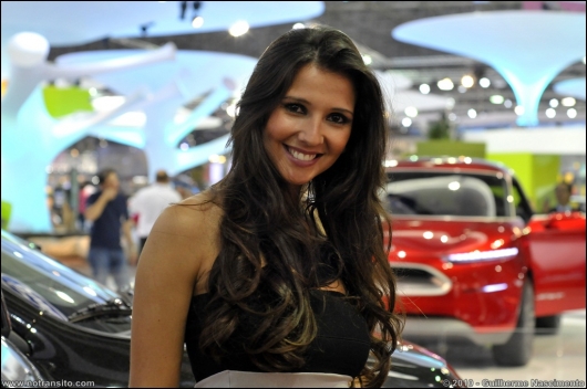 gatasdosalaodoautomovel2010025.jpg