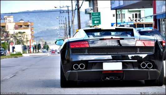 lamborghinigallardolp550-2valentinobalboni003