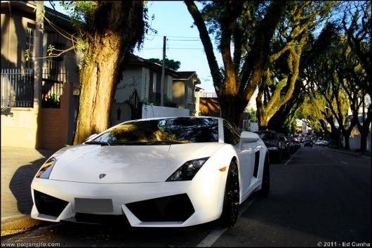 lamborghinigallardolp5604coupe003