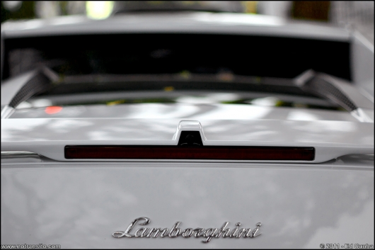 lamborghinigallardolp5604coupe013