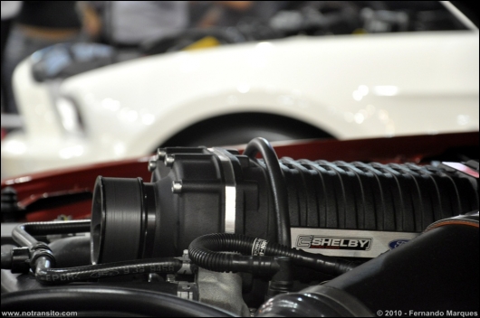 shelbymustanggt500008.jpg