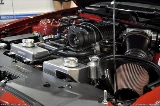 shelbymustanggt500009.jpg