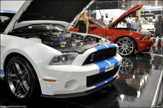 shelbymustanggt500016.jpg