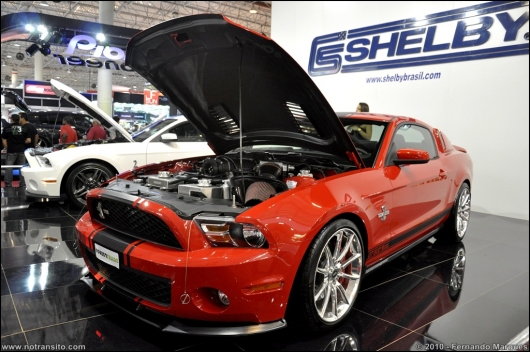 shelbymustanggt500021.jpg
